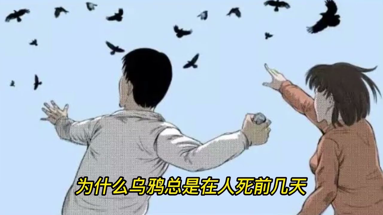《乌鸦》传说中乌鸦能预知人的死亡惊涑故事漫画故事恐怖故事睡前故事